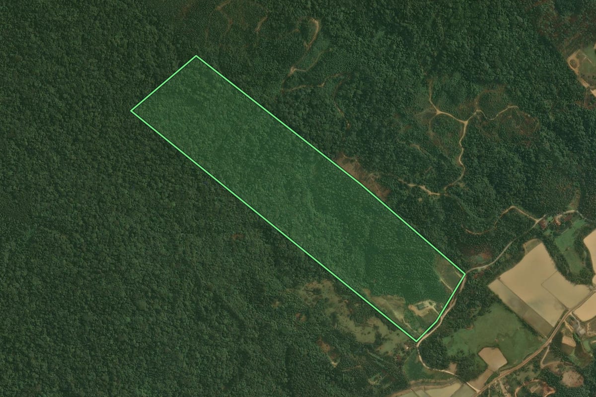 Imagem de satélite do imóvel rural em Doutor Pedrinho (SC), com o contorno declarado no CAR desenhado por cima.