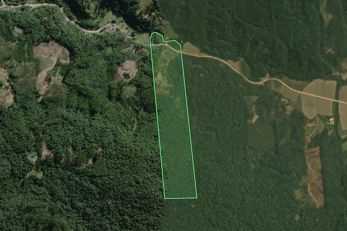 Imagem de satélite do imóvel rural em Doutor Pedrinho (SC), com o contorno declarado no CAR desenhado por cima.