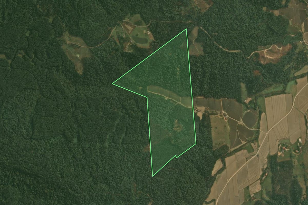 Imagem de satélite do imóvel rural em Doutor Pedrinho (SC), com o contorno declarado no CAR desenhado por cima.