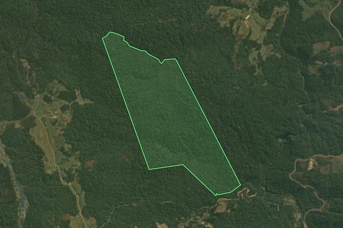 Imagem de satélite do imóvel rural em Doutor Pedrinho (SC), com o contorno declarado no CAR desenhado por cima.