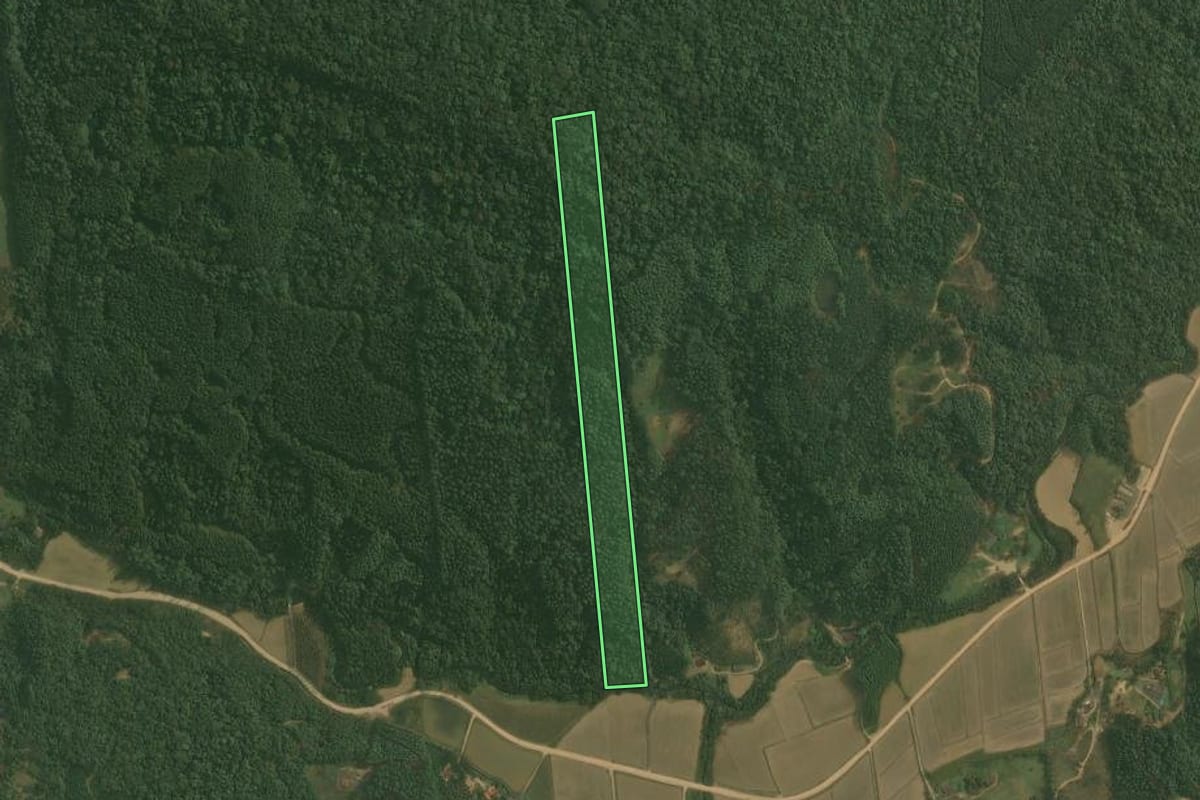 Imagem de satélite do imóvel rural em Doutor Pedrinho (SC), com o contorno declarado no CAR desenhado por cima.
