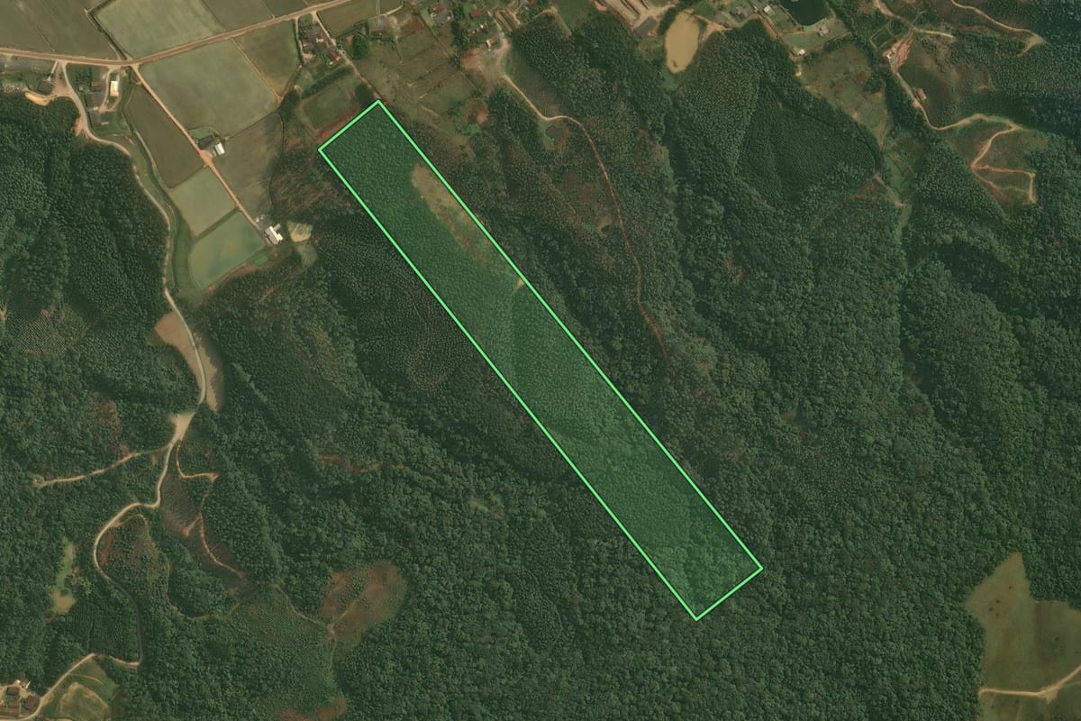 Imagem de satélite do imóvel rural em Doutor Pedrinho (SC), com o contorno declarado no CAR desenhado por cima.