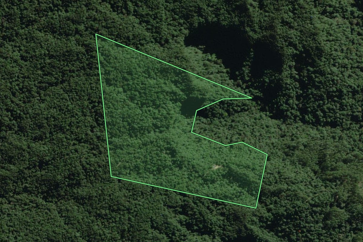 Imagem de satélite do imóvel rural em Doutor Pedrinho (SC), com o contorno declarado no CAR desenhado por cima.