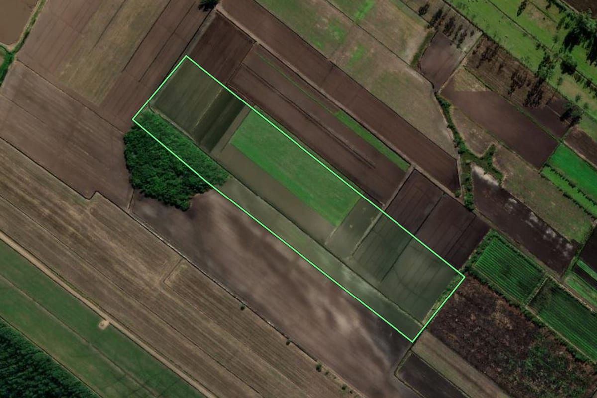 Imagem de satélite do imóvel rural em Ermo (SC), com o contorno declarado no CAR desenhado por cima.