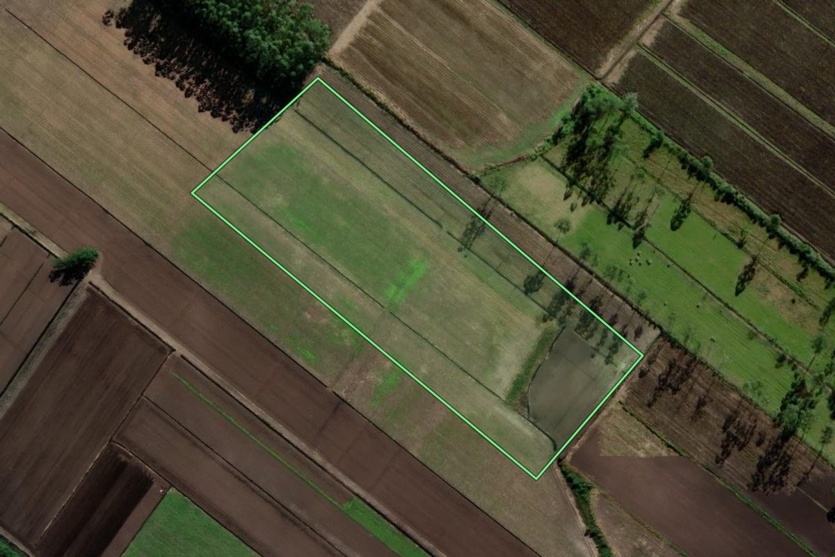 Imagem de satélite do imóvel rural em Ermo (SC), com o contorno declarado no CAR desenhado por cima.
