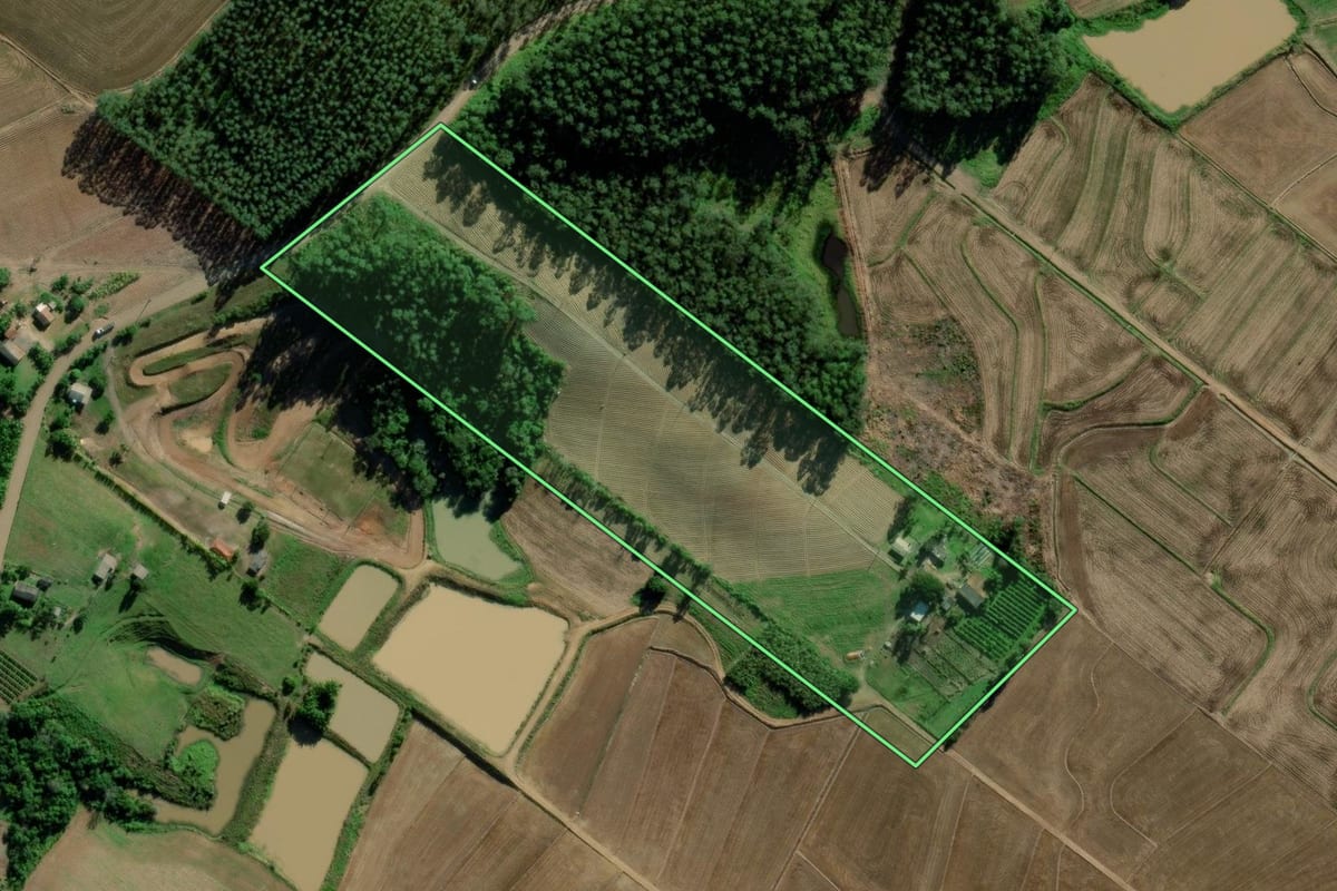 Imagem de satélite do imóvel rural em Ermo (SC), com o contorno declarado no CAR desenhado por cima.