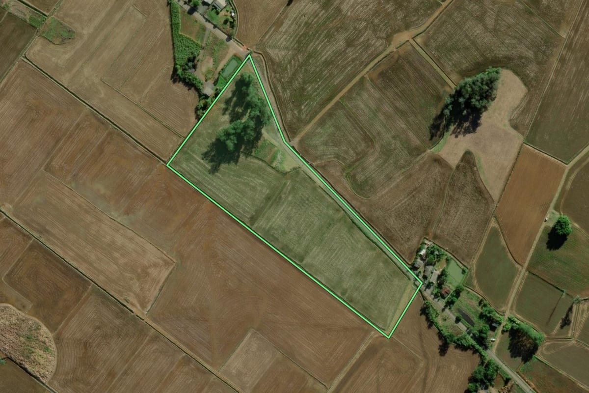 Imagem de satélite do imóvel rural em Ermo (SC), com o contorno declarado no CAR desenhado por cima.