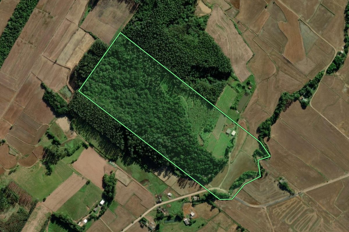 Imagem de satélite do imóvel rural em Ermo (SC), com o contorno declarado no CAR desenhado por cima.