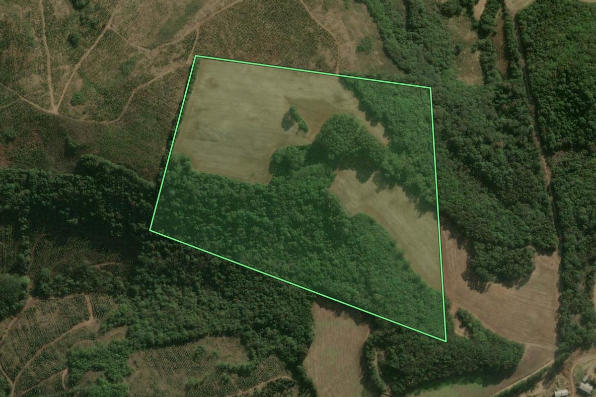 Imagem de satélite do imóvel rural em Erval Velho (SC), com o contorno declarado no CAR desenhado por cima.