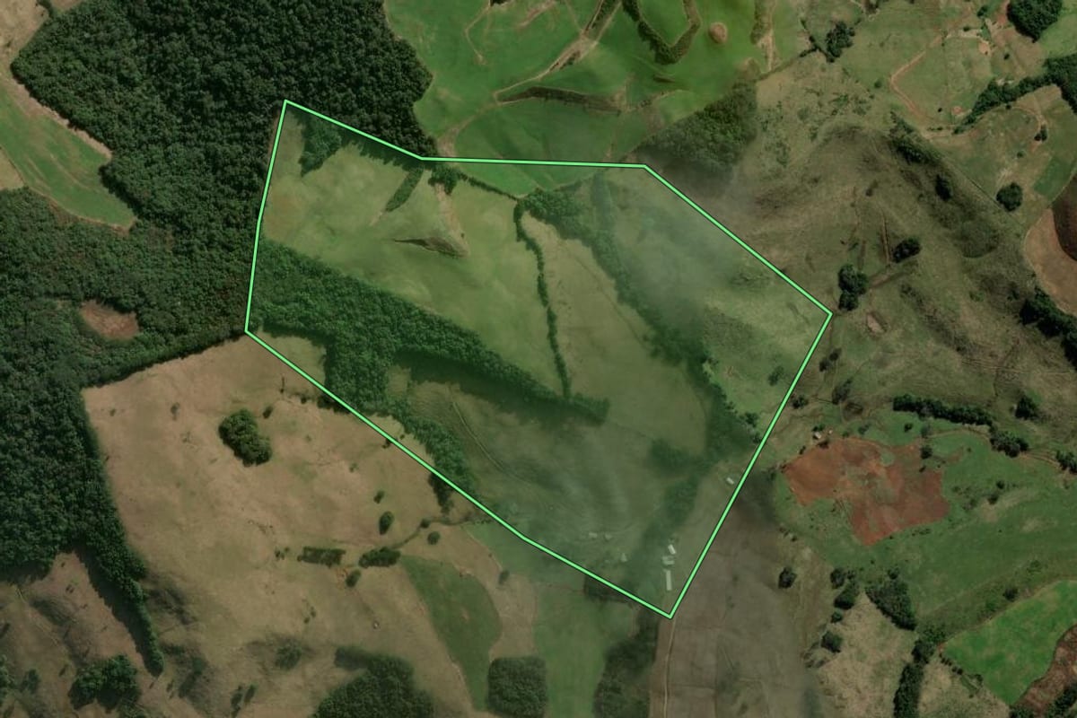 Imagem de satélite do imóvel rural em Erval Velho (SC), com o contorno declarado no CAR desenhado por cima.