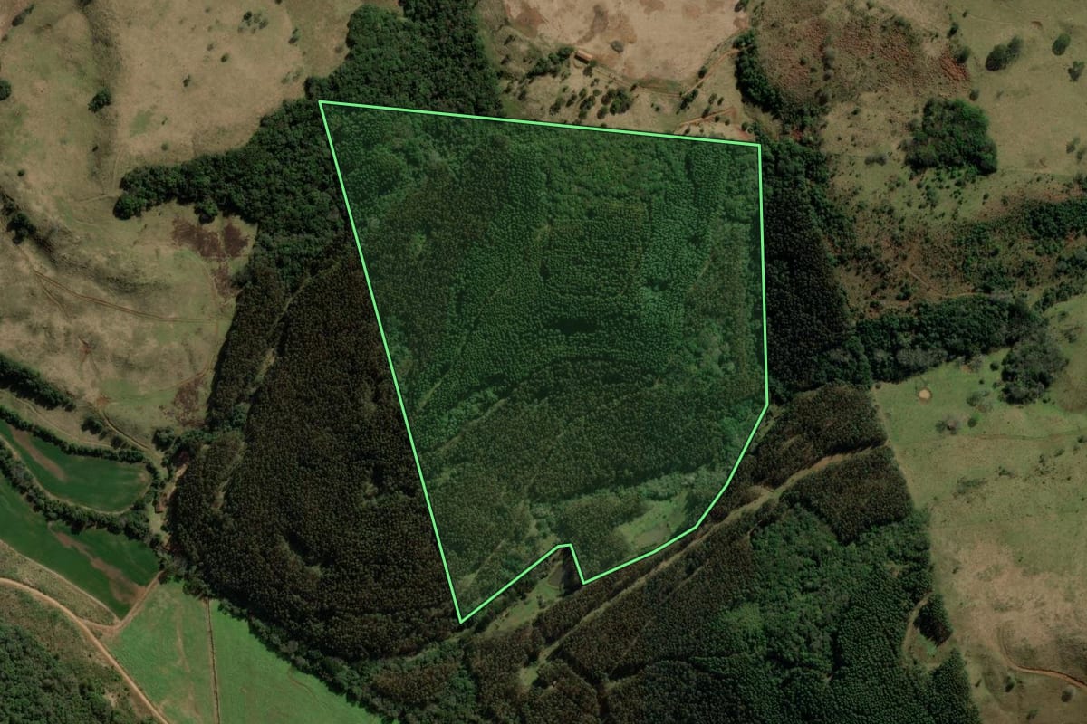 Imagem de satélite do imóvel rural em Erval Velho (SC), com o contorno declarado no CAR desenhado por cima.