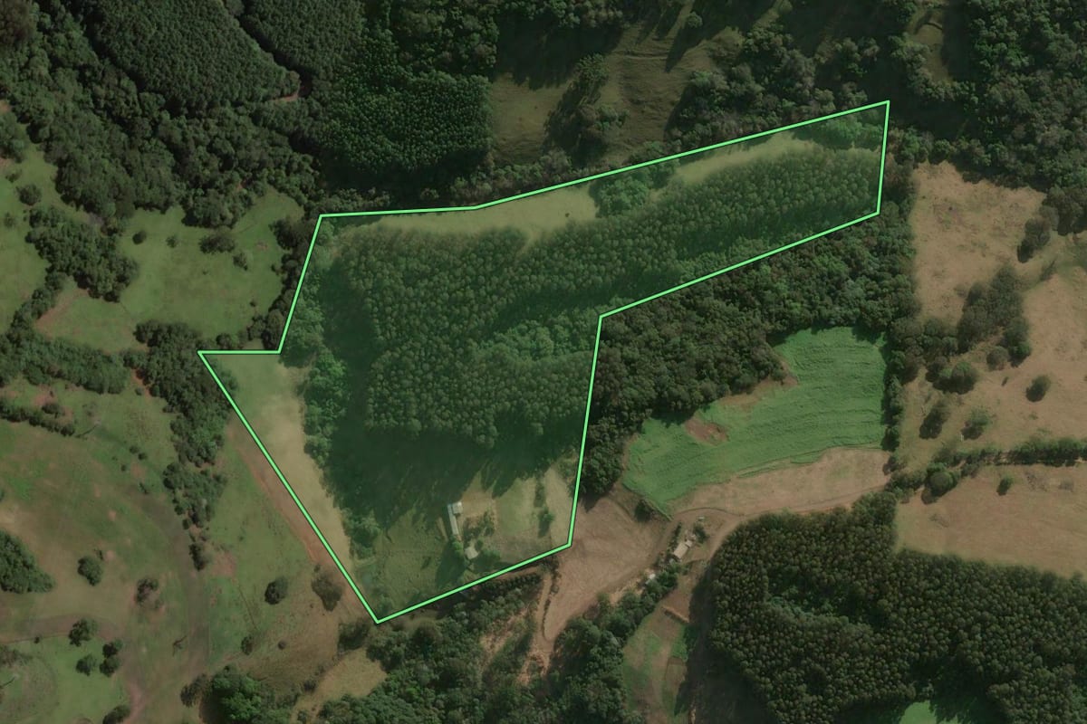 Imagem de satélite do imóvel rural em Erval Velho (SC), com o contorno declarado no CAR desenhado por cima.