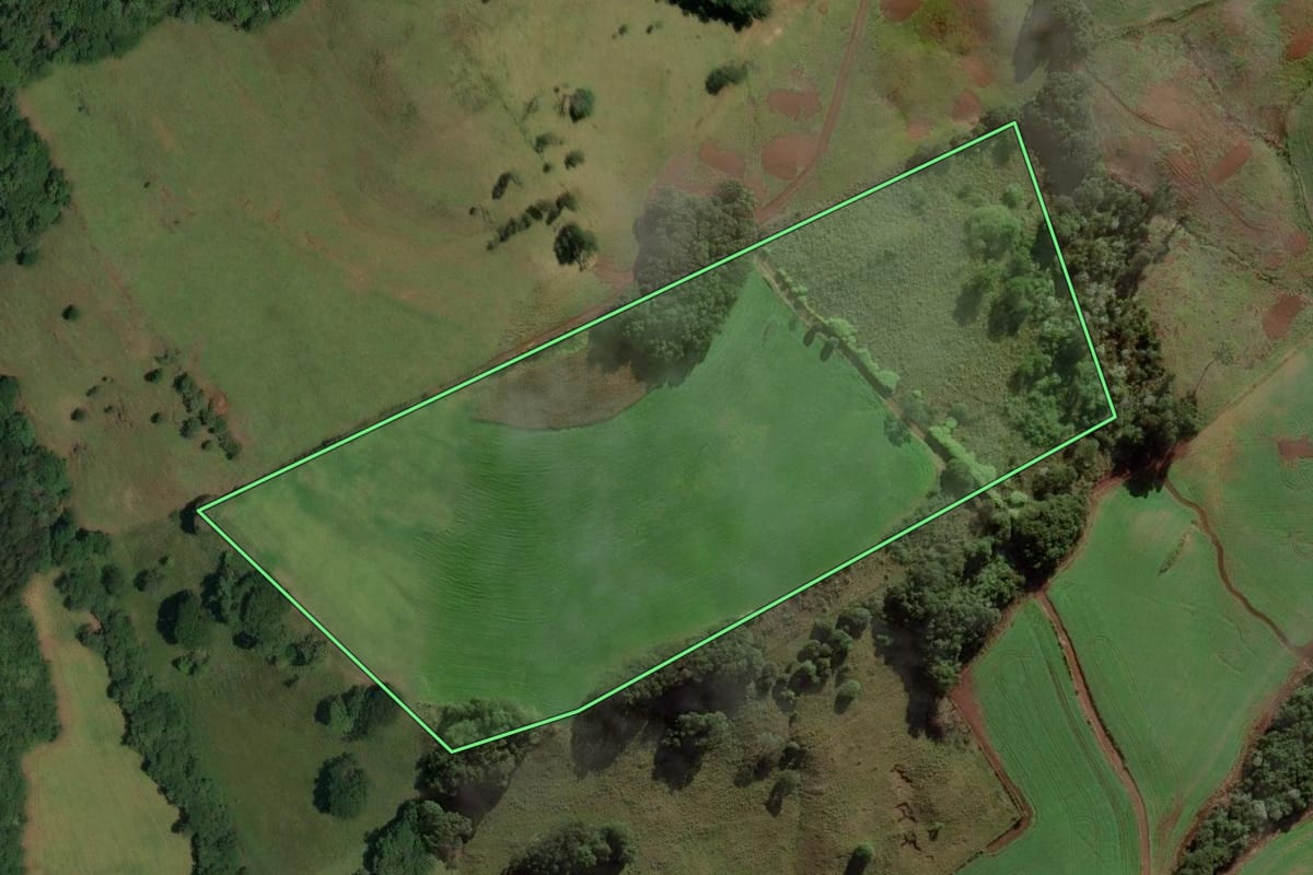 Imagem de satélite do imóvel rural em Erval Velho (SC), com o contorno declarado no CAR desenhado por cima.