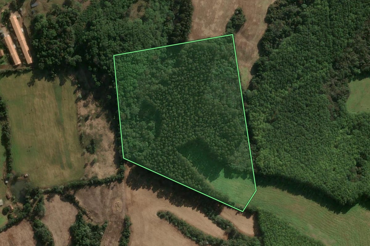 Imagem de satélite do imóvel rural em Erval Velho (SC), com o contorno declarado no CAR desenhado por cima.