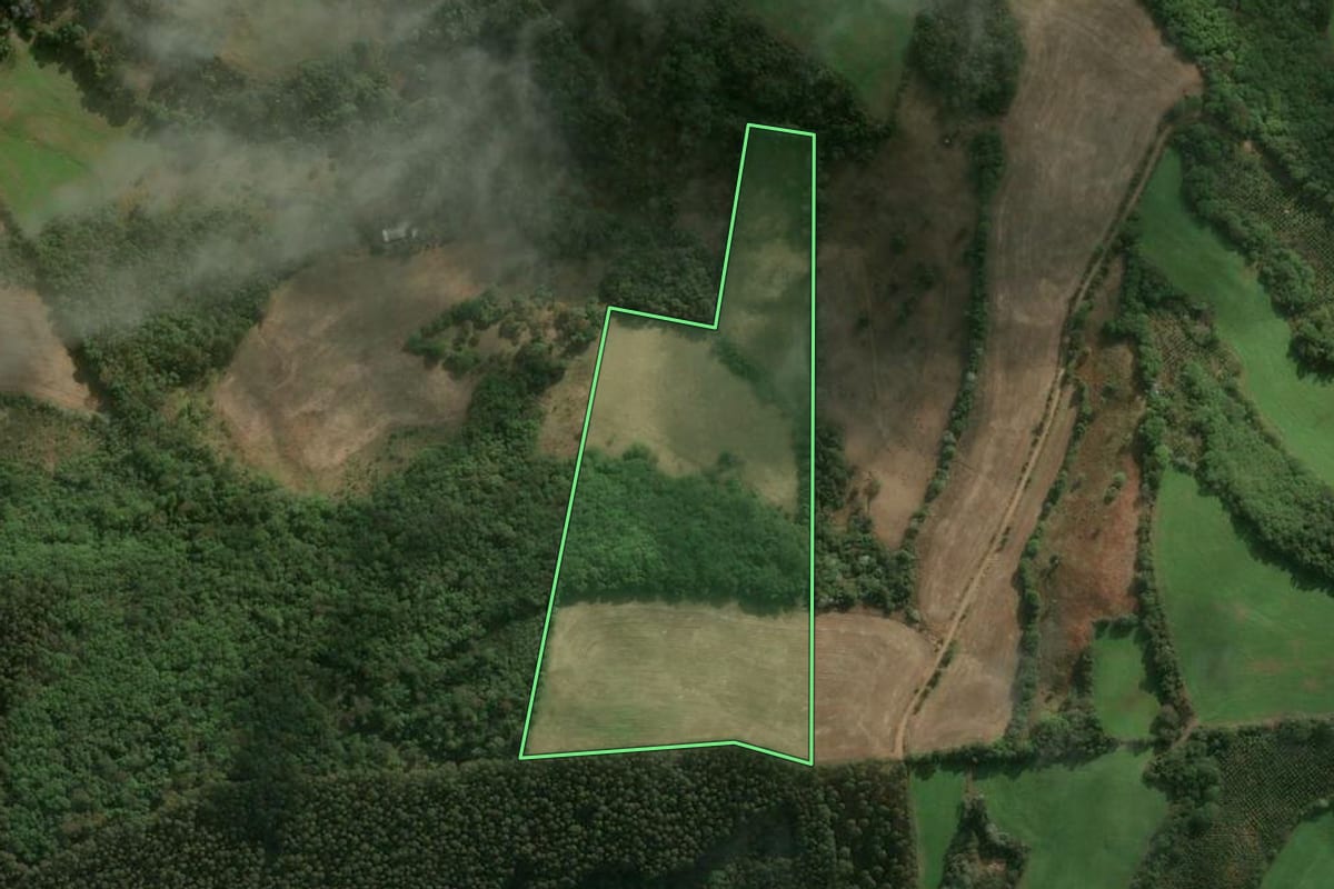 Imagem de satélite do imóvel rural em Erval Velho (SC), com o contorno declarado no CAR desenhado por cima.