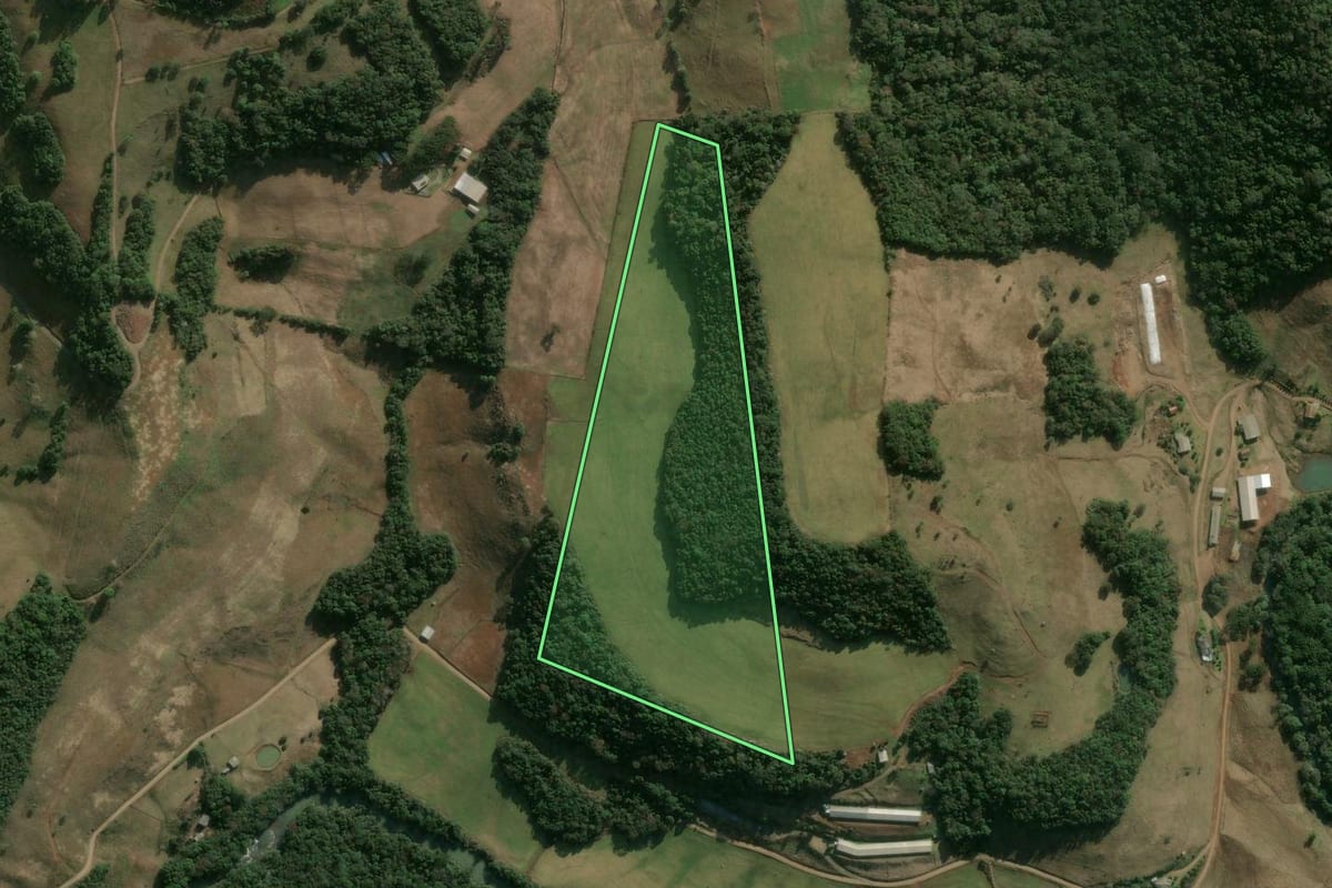 Imagem de satélite do imóvel rural em Erval Velho (SC), com o contorno declarado no CAR desenhado por cima.