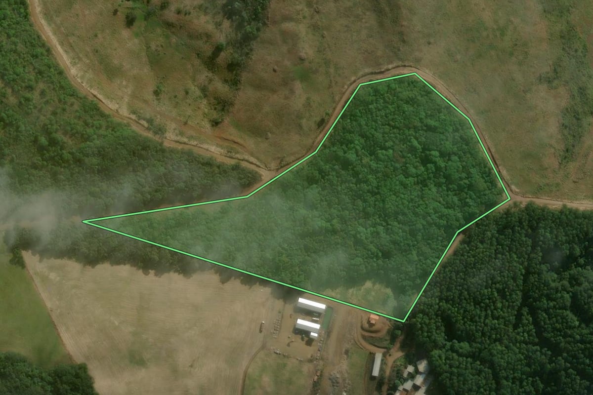 Imagem de satélite do imóvel rural em Erval Velho (SC), com o contorno declarado no CAR desenhado por cima.