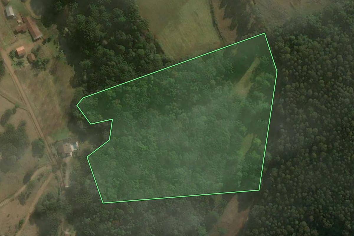 Imagem de satélite do imóvel rural em Erval Velho (SC), com o contorno declarado no CAR desenhado por cima.