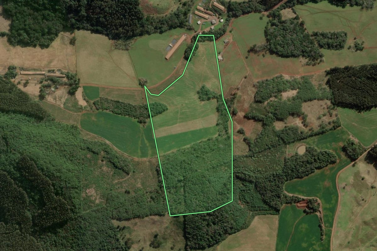 Imagem de satélite do imóvel rural em Erval Velho (SC), com o contorno declarado no CAR desenhado por cima.