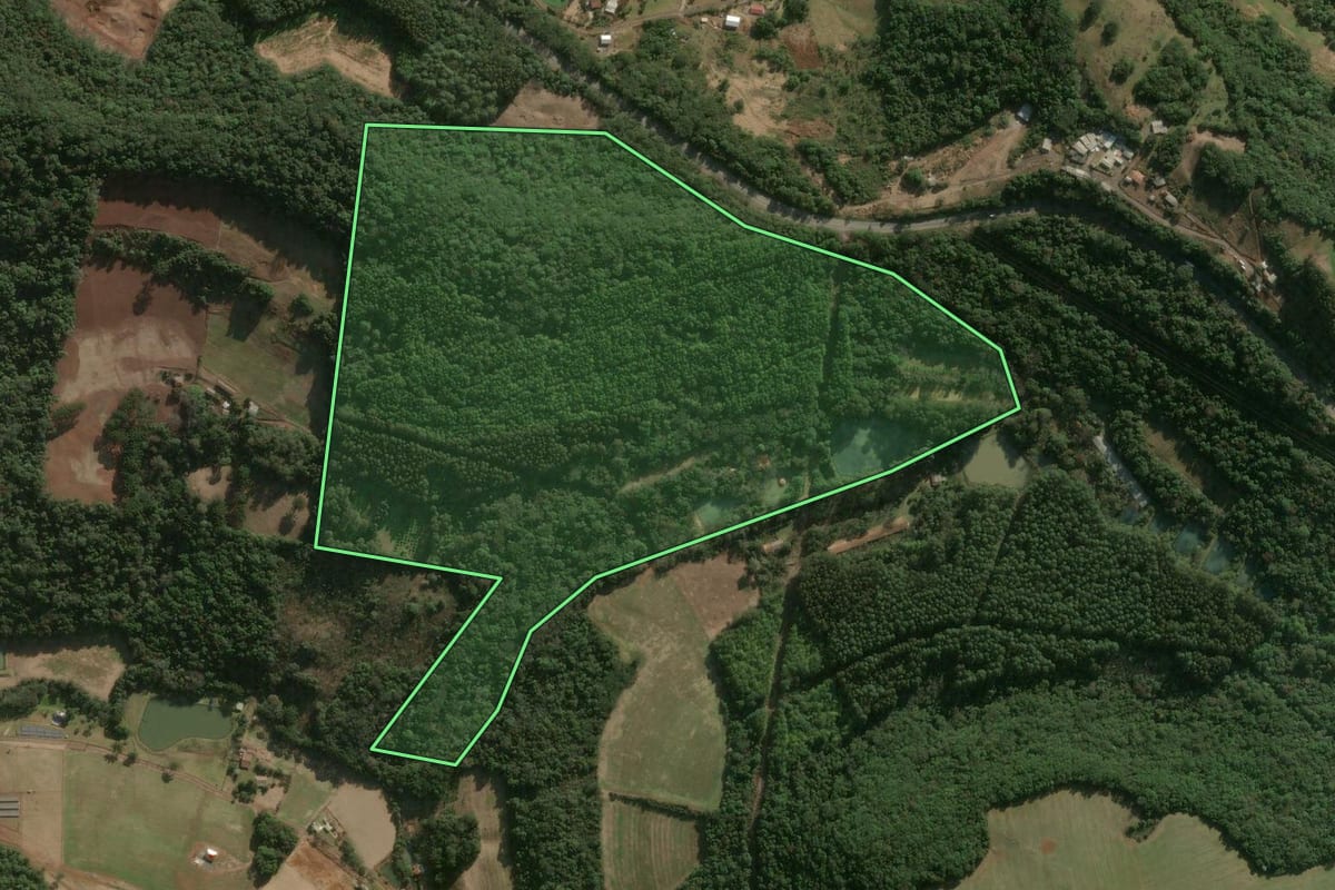 Imagem de satélite do imóvel rural em Erval Velho (SC), com o contorno declarado no CAR desenhado por cima.