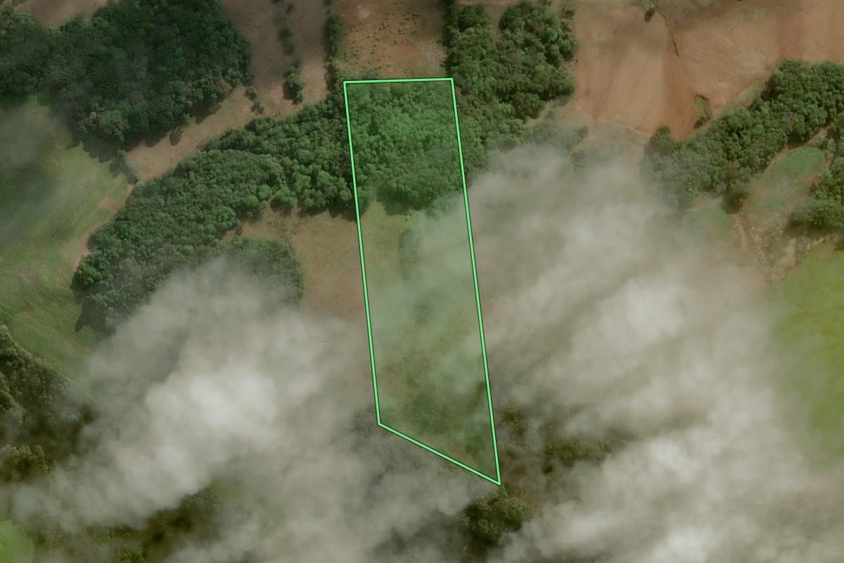 Imagem de satélite do imóvel rural em Erval Velho (SC), com o contorno declarado no CAR desenhado por cima.