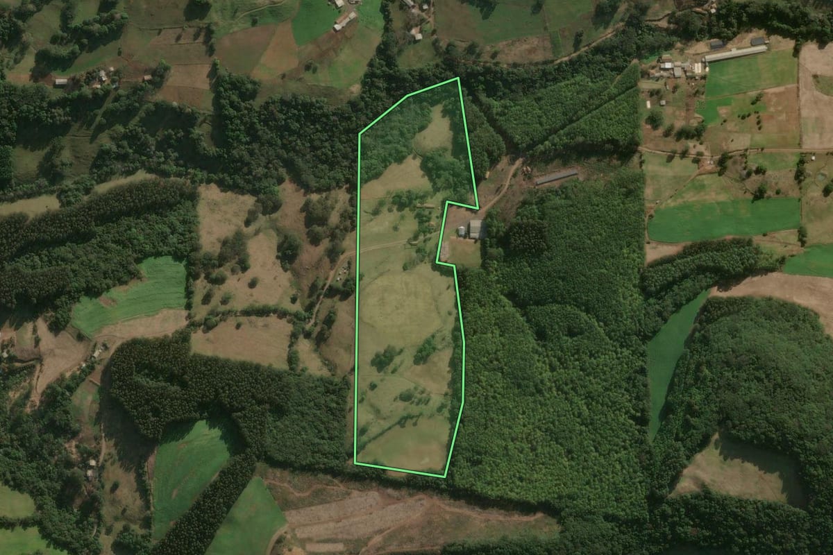 Imagem de satélite do imóvel rural em Erval Velho (SC), com o contorno declarado no CAR desenhado por cima.