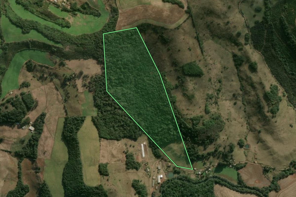 Imagem de satélite do imóvel rural em Erval Velho (SC), com o contorno declarado no CAR desenhado por cima.