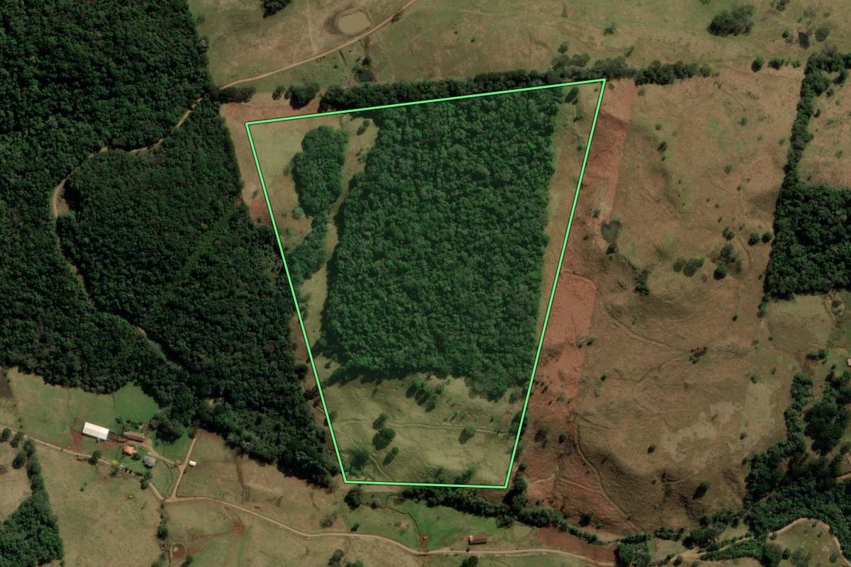 Imagem de satélite do imóvel rural em Erval Velho (SC), com o contorno declarado no CAR desenhado por cima.