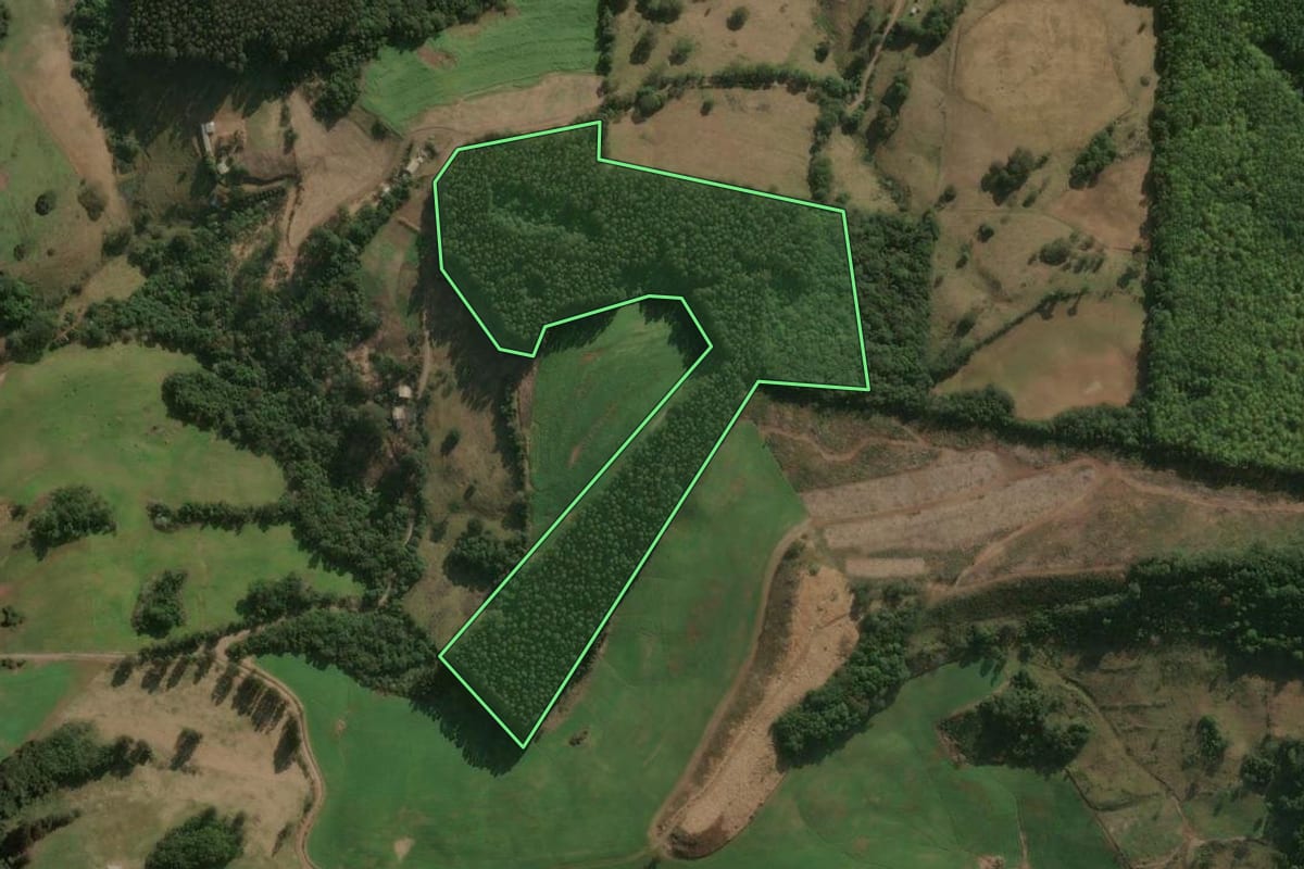 Imagem de satélite do imóvel rural em Erval Velho (SC), com o contorno declarado no CAR desenhado por cima.