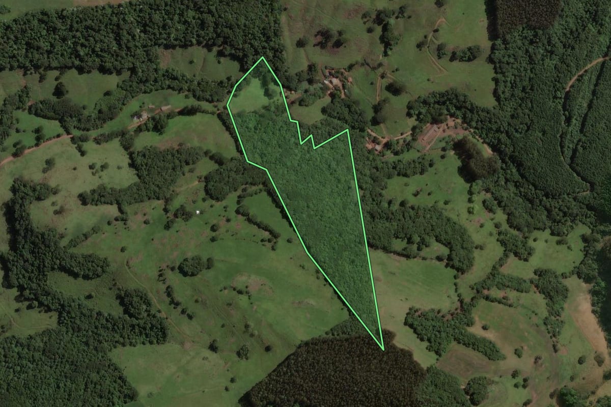 Imagem de satélite do imóvel rural em Erval Velho (SC), com o contorno declarado no CAR desenhado por cima.
