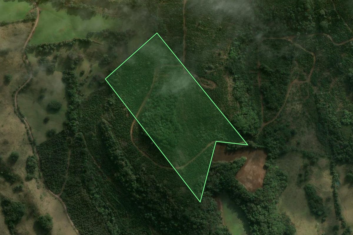 Imagem de satélite do imóvel rural em Erval Velho (SC), com o contorno declarado no CAR desenhado por cima.