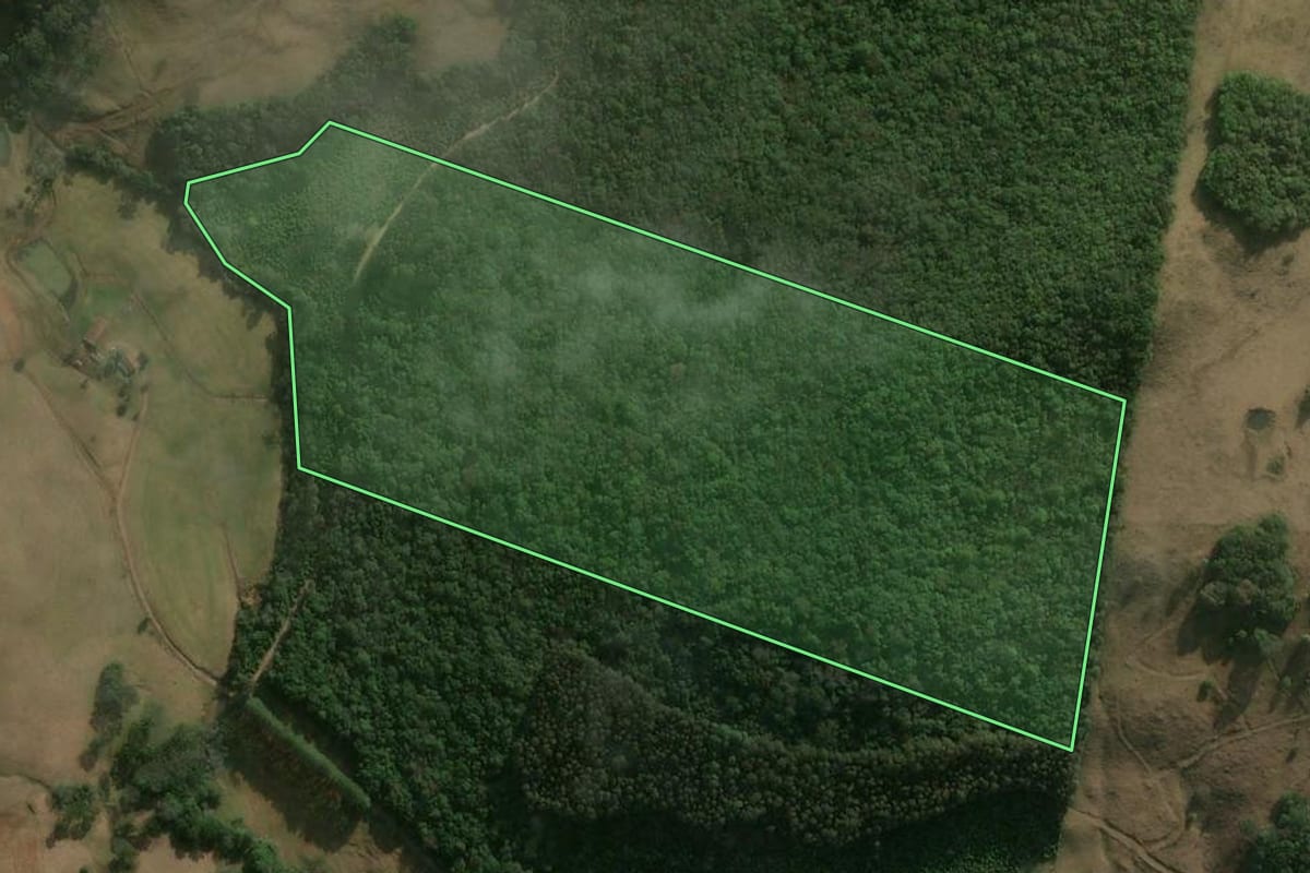 Imagem de satélite do imóvel rural em Erval Velho (SC), com o contorno declarado no CAR desenhado por cima.