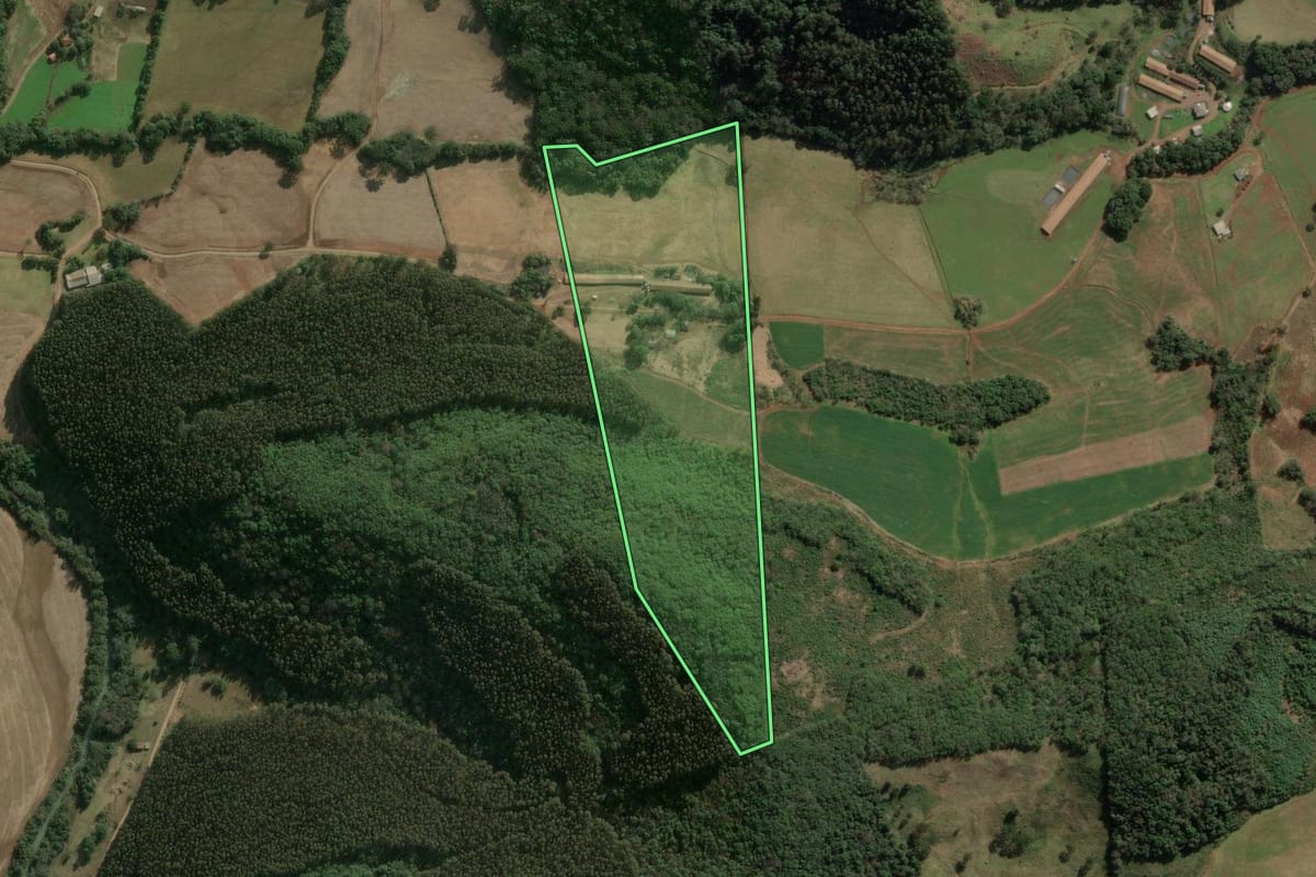 Imagem de satélite do imóvel rural em Erval Velho (SC), com o contorno declarado no CAR desenhado por cima.