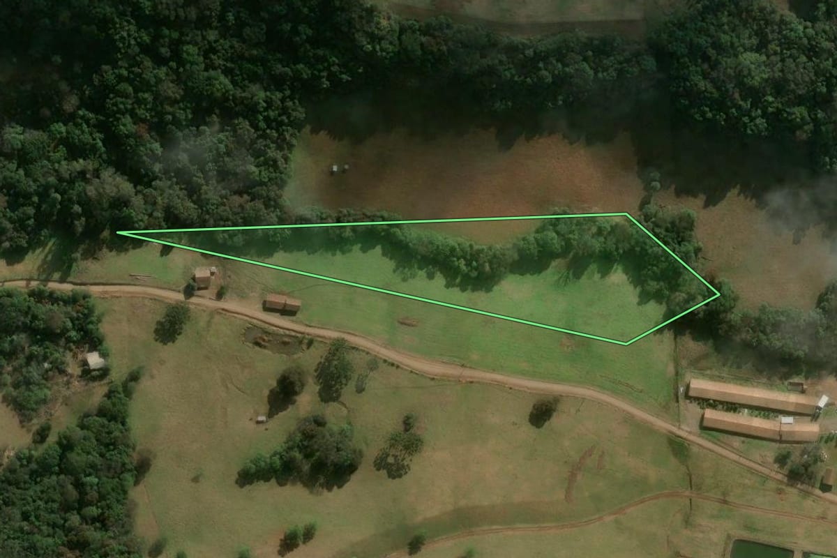 Imagem de satélite do imóvel rural em Erval Velho (SC), com o contorno declarado no CAR desenhado por cima.