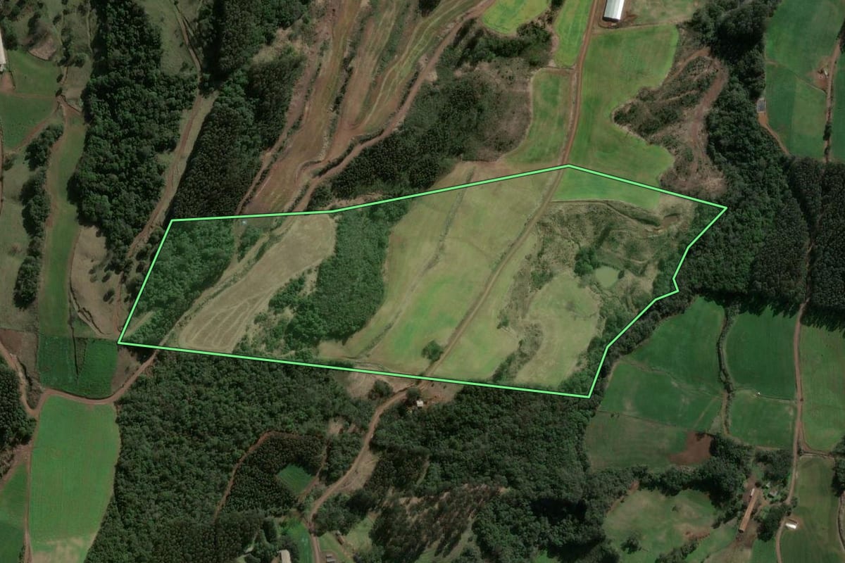 Imagem de satélite do imóvel rural em Faxinal dos Guedes (SC), com o contorno declarado no CAR desenhado por cima.