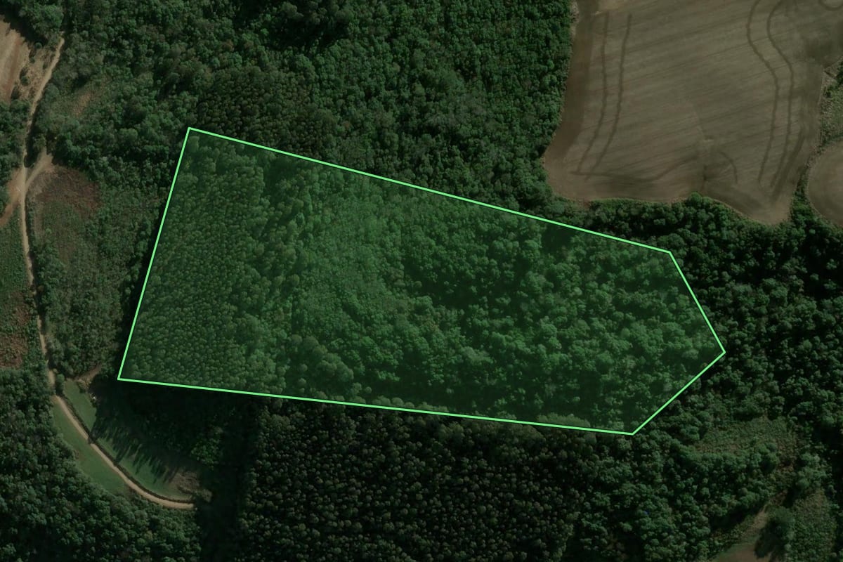 Imagem de satélite do imóvel rural em Faxinal dos Guedes (SC), com o contorno declarado no CAR desenhado por cima.