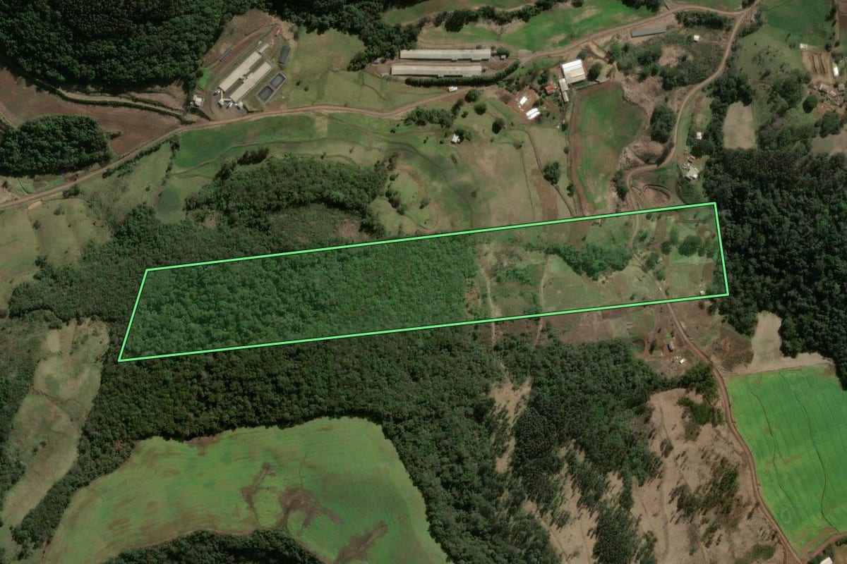 Imagem de satélite do imóvel rural em Faxinal dos Guedes (SC), com o contorno declarado no CAR desenhado por cima.