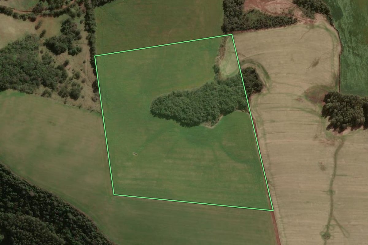 Imagem de satélite do imóvel rural em Faxinal dos Guedes (SC), com o contorno declarado no CAR desenhado por cima.