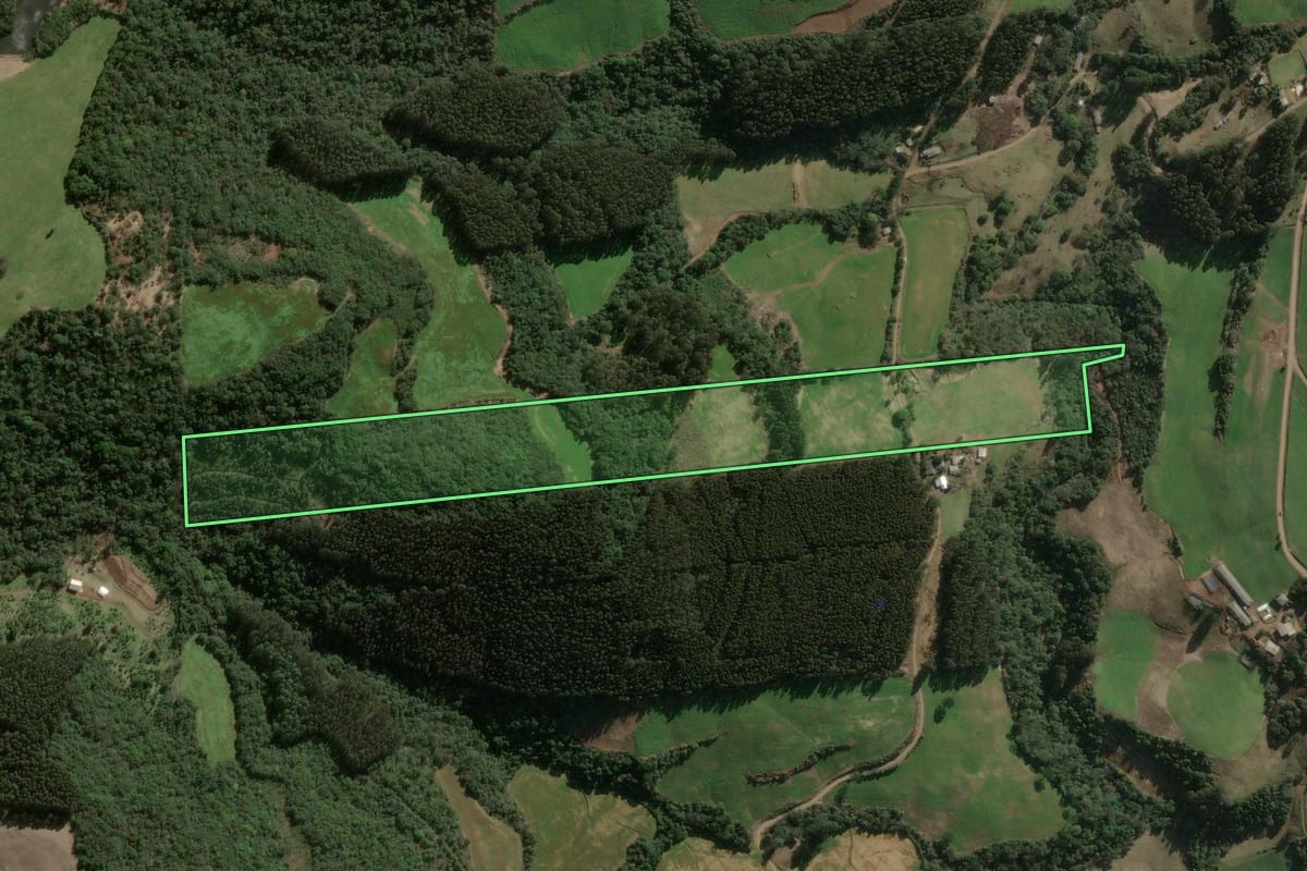 Imagem de satélite do imóvel rural em Faxinal dos Guedes (SC), com o contorno declarado no CAR desenhado por cima.