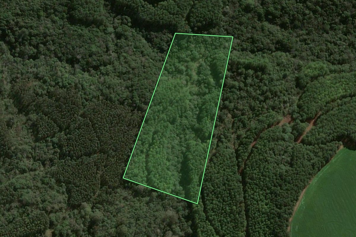 Imagem de satélite do imóvel rural em Faxinal dos Guedes (SC), com o contorno declarado no CAR desenhado por cima.