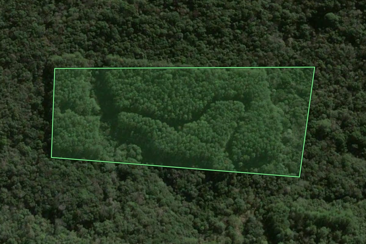 Imagem de satélite do imóvel rural em Faxinal dos Guedes (SC), com o contorno declarado no CAR desenhado por cima.