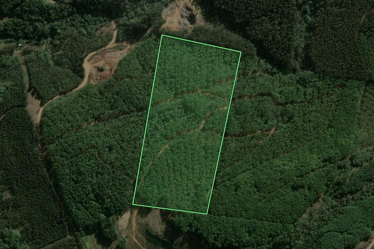 Imagem de satélite do imóvel rural em Faxinal dos Guedes (SC), com o contorno declarado no CAR desenhado por cima.