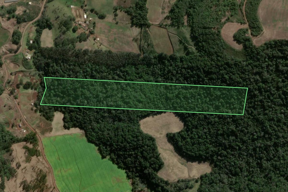 Imagem de satélite do imóvel rural em Faxinal dos Guedes (SC), com o contorno declarado no CAR desenhado por cima.