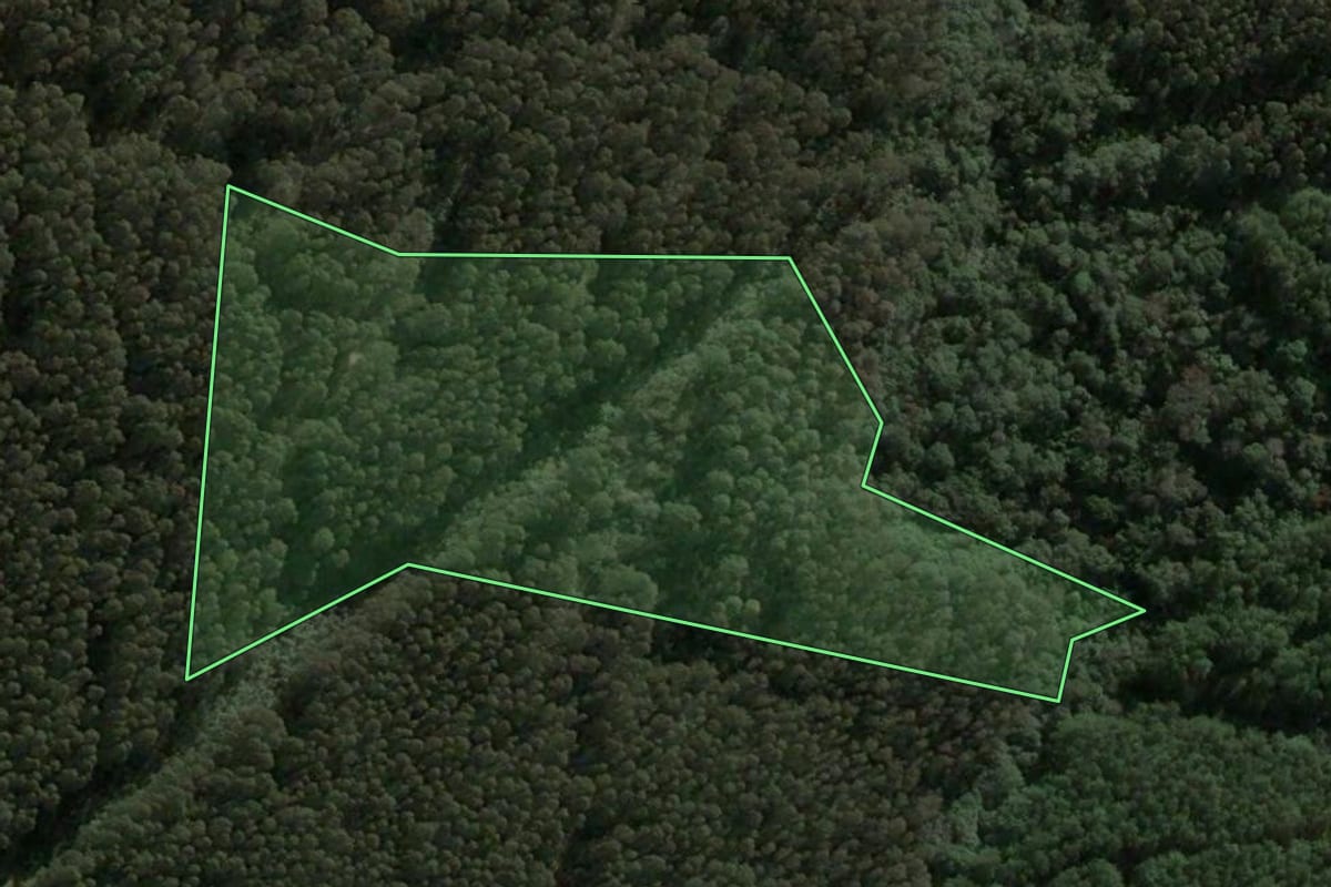 Imagem de satélite do imóvel rural em Faxinal dos Guedes (SC), com o contorno declarado no CAR desenhado por cima.