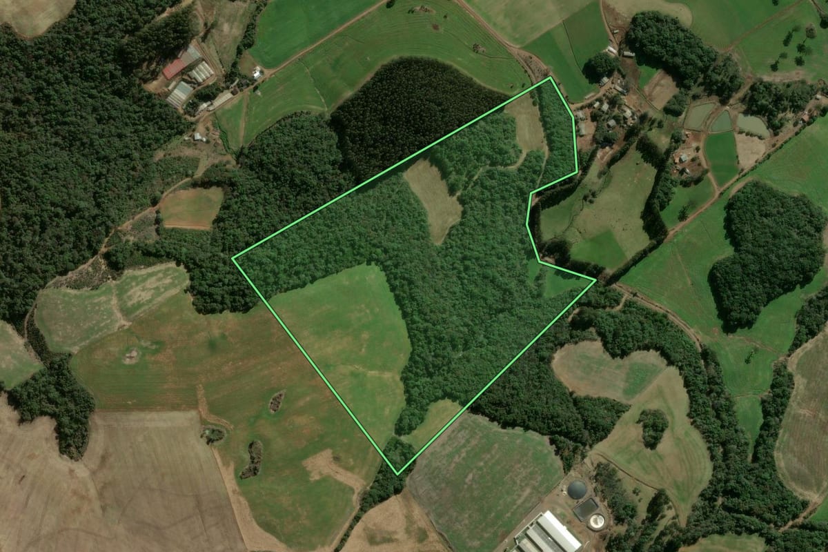 Imagem de satélite do imóvel rural em Faxinal dos Guedes (SC), com o contorno declarado no CAR desenhado por cima.