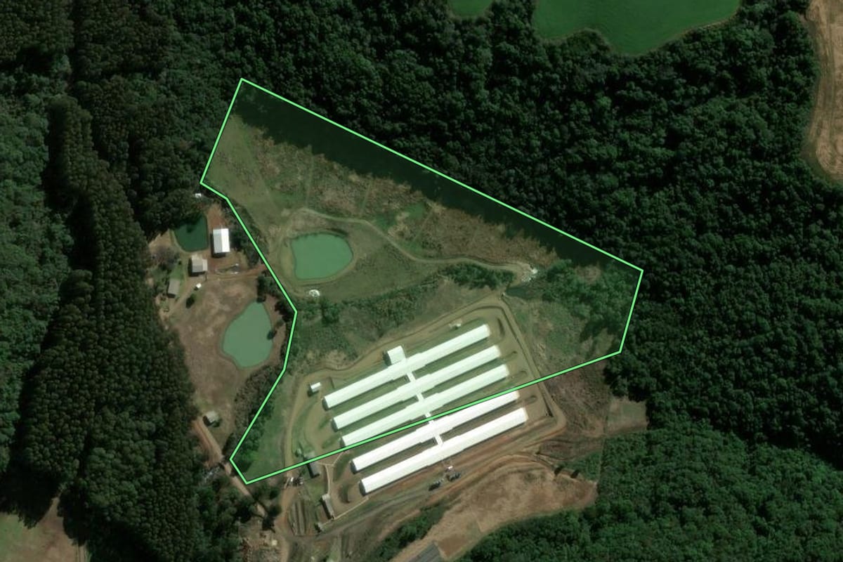 Imagem de satélite do imóvel rural em Faxinal dos Guedes (SC), com o contorno declarado no CAR desenhado por cima.