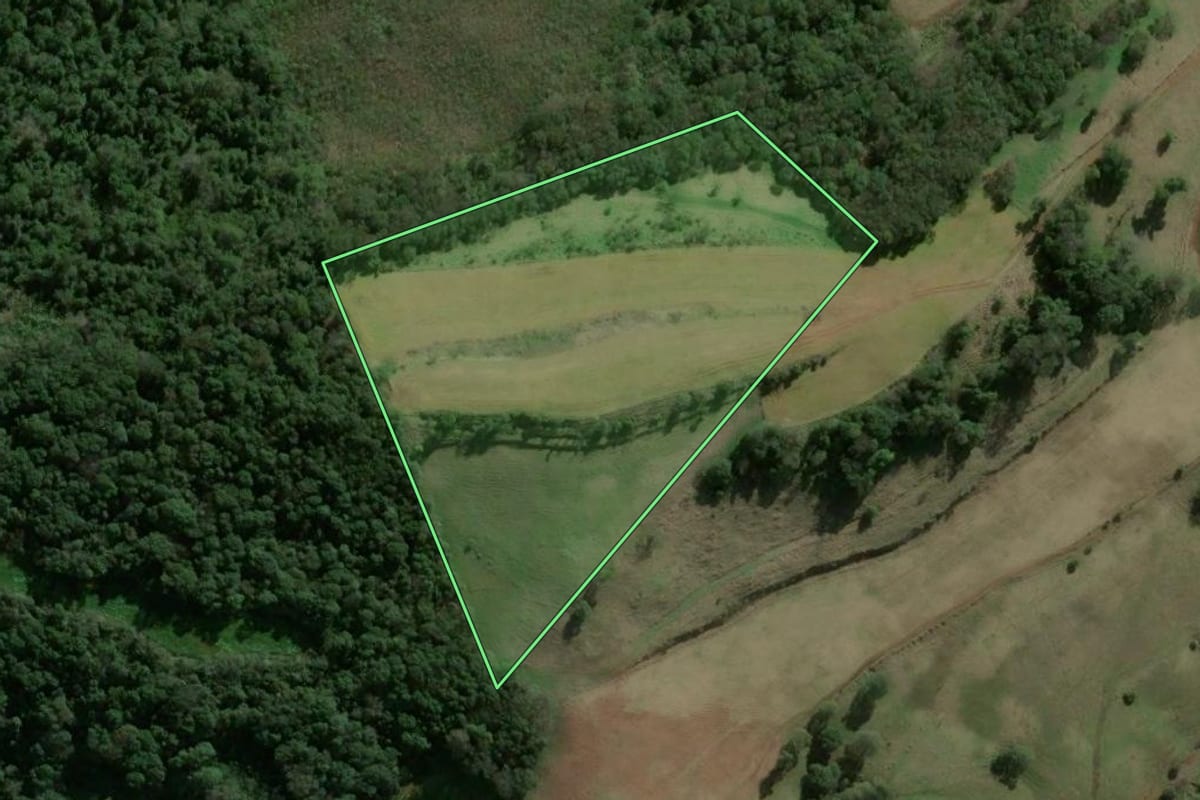 Imagem de satélite do imóvel rural em Faxinal dos Guedes (SC), com o contorno declarado no CAR desenhado por cima.
