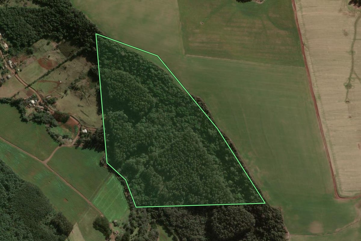 Imagem de satélite do imóvel rural em Faxinal dos Guedes (SC), com o contorno declarado no CAR desenhado por cima.