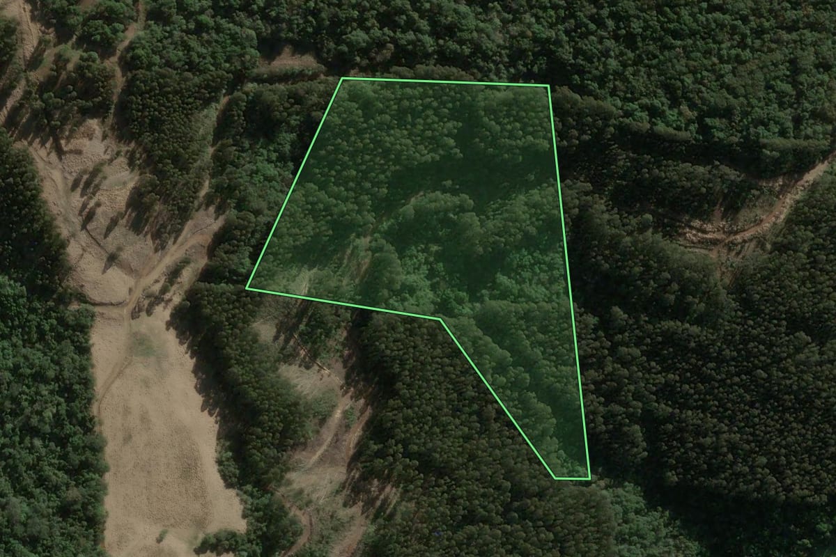 Imagem de satélite do imóvel rural em Faxinal dos Guedes (SC), com o contorno declarado no CAR desenhado por cima.