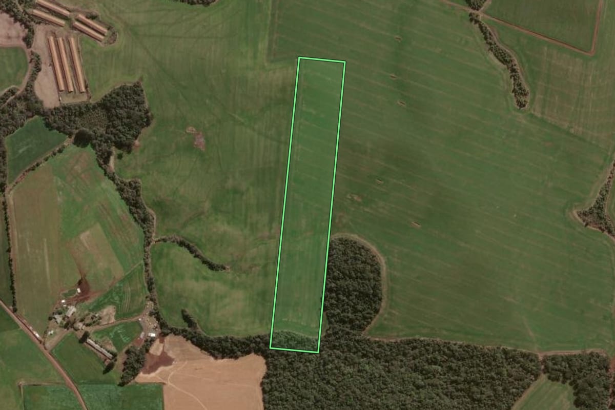 Imagem de satélite do imóvel rural em Faxinal dos Guedes (SC), com o contorno declarado no CAR desenhado por cima.